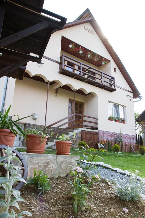 Cabana Denisa Арьешени Экстерьер фото
